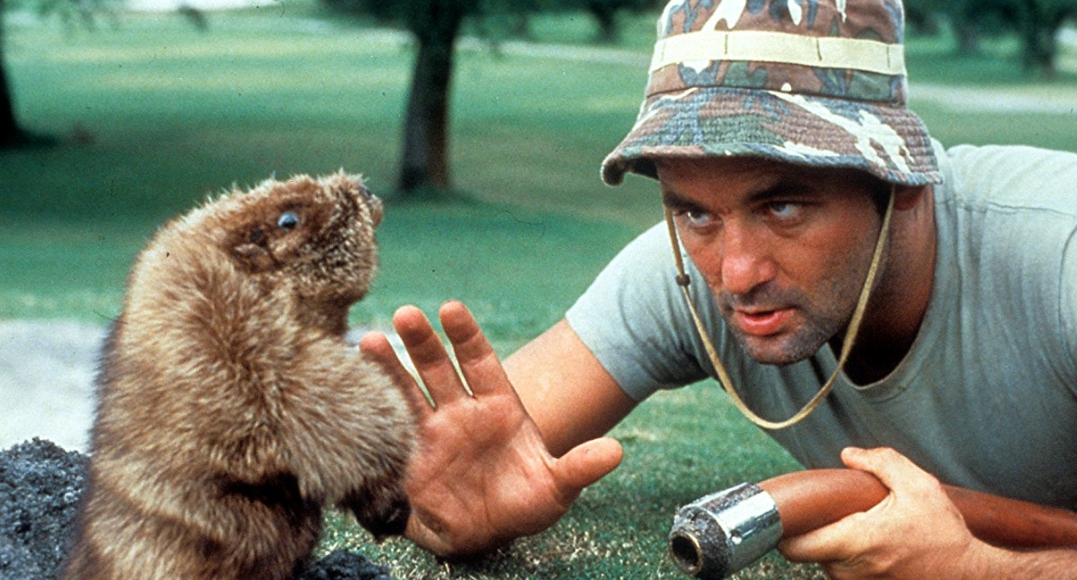 On Netflix Now We’re Watching ‘Caddyshack’ That Moment In