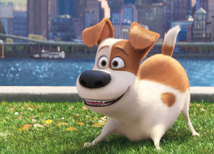 That Moment In 'The Secret Life of Pets' When Duke Comes Home | That ...